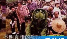 吃瓜群众是什么意思由来,一词背后的社会变迁与网络文化现象