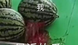 吃瓜娱乐圈瓜,揭秘明星们的甜蜜与苦涩瓜